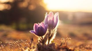 Der Kunde erwartet Digitales Marketing von Digitalen Konzernen. Einige Unternehmen sehen hier Entwicklungbedarf und neue Strategien müssen herangezogen werden. (gemeinfrei)