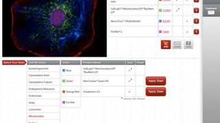 Einblicke in Zellstrukturen bietet 3D Cell Simulation and Stain Tool.  (Bild: Life Technologies)