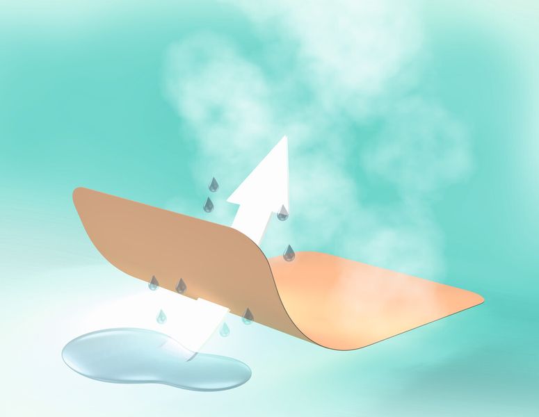 Schematische Zeichnung zur Wasserdampfdurchlässigkeit. (Bild: Bayer Material-Science)