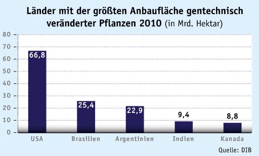 März-Ausgabe 2012
Grüne Biotechnologie im Aufwind – Europa wird abgehängt
Die Anbaufläche für gentechnisch veränderte Pflanzen ist laut akuteller ISAAA-Zahlen im vergangenen Jahr um rund acht Prozent angestiegen. Europa und Deutschland tragen zu diesem Zuwachs in der grünen Biotechnologie allerdings kaum etwas bei. Außer in Spanien und Portugal gibt es in keinem europäischen Land signifikante Anbauflächen. Die größten Produzenten sind nach wie vor mit weitem Abstand die USA.
(Quelle: DIB) (Screenshot: LABORPRAXIS)