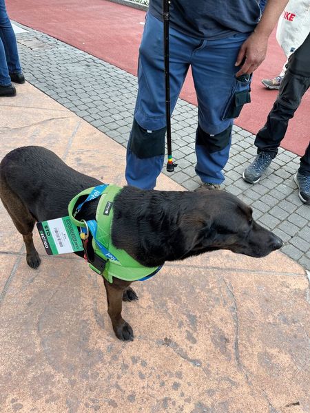 Das ist Eva. Neben dem Roboterhund ein weiterer Messebesucher auf vier Beinen. (Bild: IT-BUSINESS)