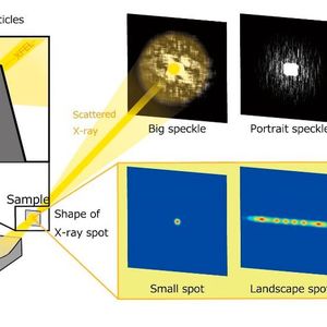 Schematic of the new method, based on speckles of coherent scattering. (Source: Osaka University)
