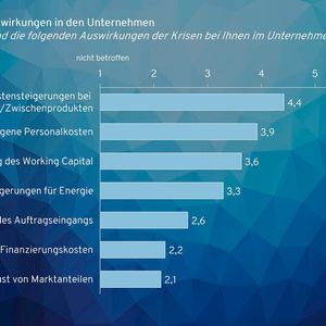 Auch die steigenden Kosten machen den Befragten zu schaffen. (Bild:  Munich Strategy)