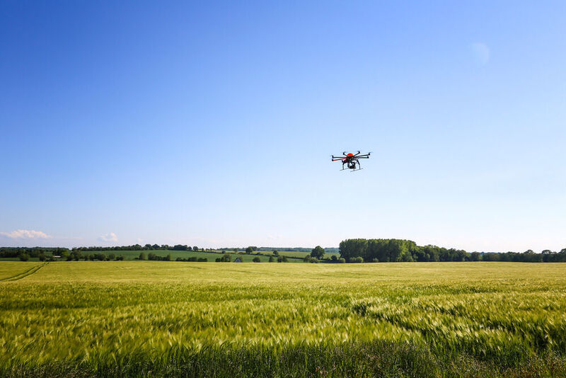 The automated image recognition technology can, e.g. supported by drones, determine the species and quantity of plants, pests and diseases in greenhouse and field trials. (BASF )