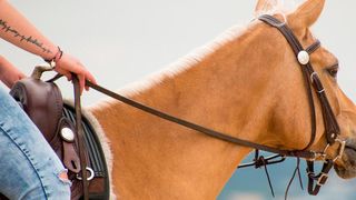 Ein durchdachtes Vendor Management System kann das Spannungsverhältnis zwischen Fachbereichen und Einkauf auflösen und die Compliance sicherstellen. Durch die Automatisierung der Prozesse behält der Einkauf die Zügel in der Hand. (gemeinfrei)