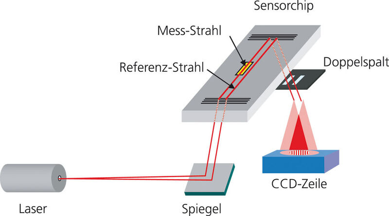 Abb.3: Schematische Darstellung des interferometrischen Biosensors.
Eine auf den Sensorchip aufgesetzte Küvette (nicht gezeigt) führt die Probenlösung über den Wellenleiter. (Archiv: Vogel Business Media)