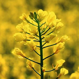 (© Andreas Heddergott / TU Muenchen)