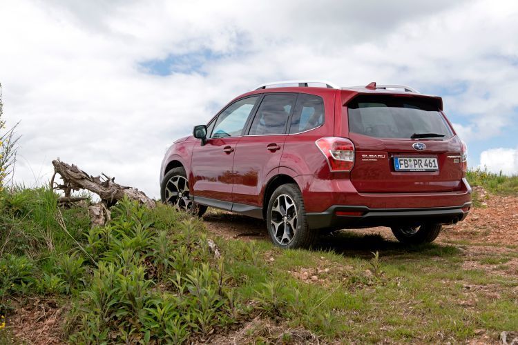 Nicht selten punktet die Marke bei Käufern, die Outdoor-Aktivitäten wie Wandern schätzen.  (Subaru Deutschland)
