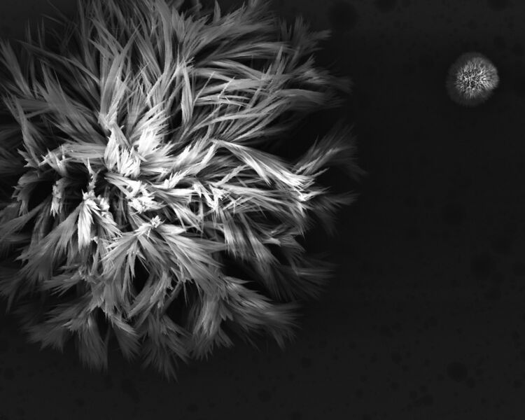 Eine weitere Nano-Aufnahme aus dem Fotowettbewerb aus 2013: Das Bild „Erde & Mond“ zeigt grafisch anmutende Strukturen, die aus einem organischen Halbleitermaterial erzeugt wurden. (Bild: Julia Lambrecht/DV Nano)