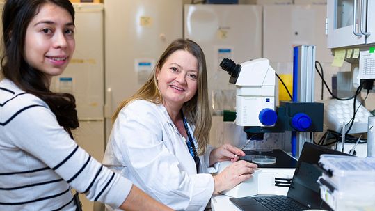 Researcher Hilde Loge Nilsen (right) together with research fellow Veronica Suaste Morales (left). Suaste Morales has calculated biological age in the experiments and is co-author of the article.(Source:  Universitetet i Oslo)