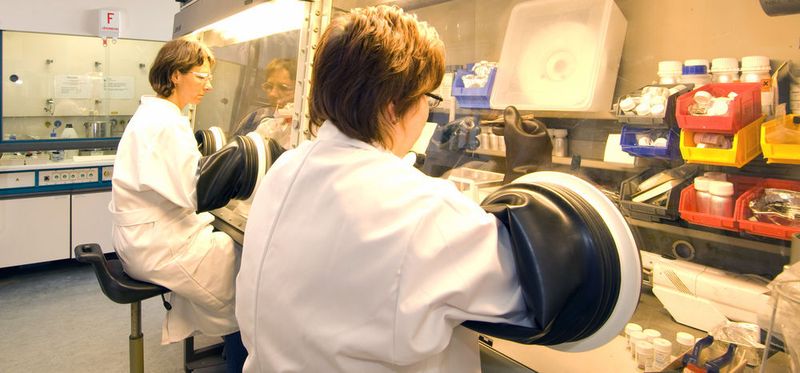 ECM-Charaktereisierung-Glovebox (Bild: ZSW)