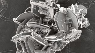 Auch Graphit entsteht in den Versuchen der Forscher nur unter Spannung, aber bei niedrigerem Druck. (Bild: Yuliya Bataleva, SB Russ. Akad. d. Wissenschaften)