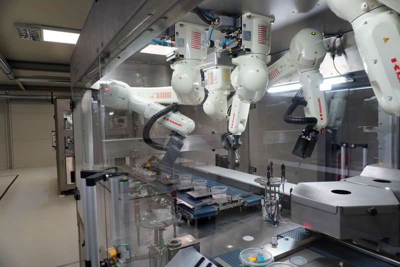 Entnahme, Kameraerfassung, Schnitt und Einsetzen in den Nährboden: Jeder Schritt der Pflanzenvermehrung erfolgt vollständig automatisch.  (Bild: Kawasaki Robotics)