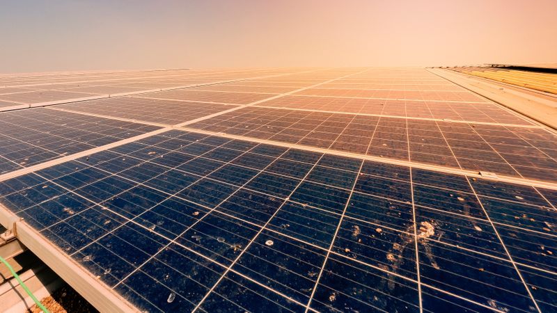 Leaves or bird droppings can cause hotspots on solar modules and reduce performance.(Image: Wirot stock.adobe.com.)