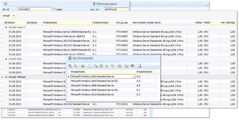 Mit CloudPremiumLine24 lassen sich Server-VMs sowohl auf VMware als auch auf HyperV transparent verwalten. (Bild: DeskCenter)