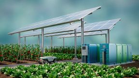 Agrivoltaics is also known as solar farms, agrophotovoltaics, agrisolar, and dual-use solar.   (Source: © Anas - stock.adobe.com)