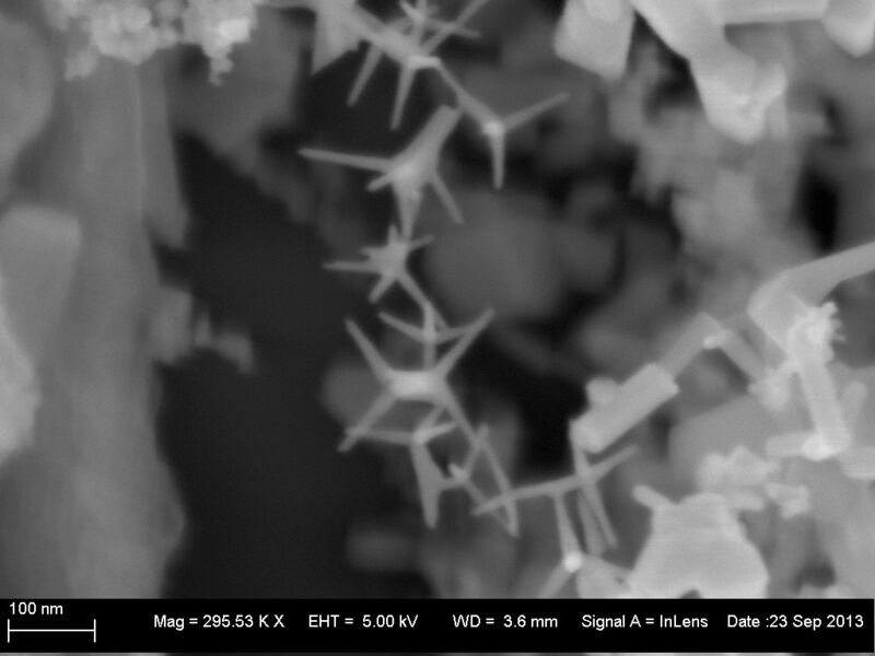 Mikroskopaufnahme der Zinkoxid-Nanostrukturen, die zwei Kontakte verbinden (von oben nach unten). (Mishra)