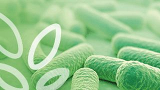 DEC_Web_Grafik_Fokusthemen_172x75px__Bio_komprimiert ()