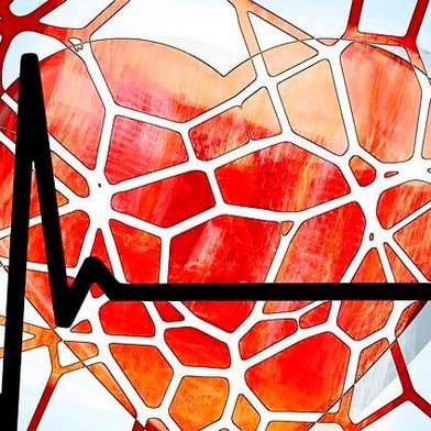 A new imaging technology makes it possible to detect early signs of heart disease through the skin. This opens up new markets for portable imaging systems. (Image:freely licensed)