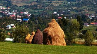 Mit KI-basierten Suchlösungen einfacher zu finden: die sprichwörtliche „Nadel im Heuhaufen“. (Bild: gemeinfrei)