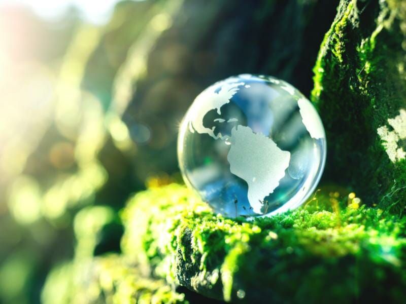 (Quelle:  Ecosourcing24)