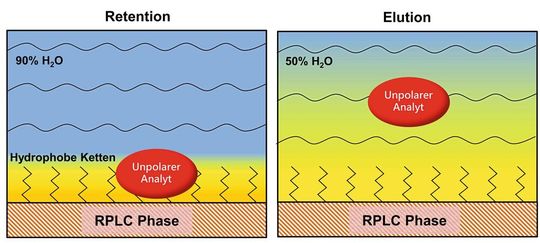 Abb.3: Schema der RPLC-Verteilung eines generell unpolaren Analyten in hydrophober Umgebung nahe der Oberfläche der stationären Phase. Links: Retention bei hohem Wassergehalt in der mobilen Phase; Rechts: Elution des Analyten bei erhöhtem Gehalt an organischem Lösungsmittel.(Bild:  AFIN-TS)