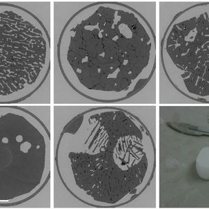 The researchers use x-ray microtomography to create images that show different cross sections of the ice. The grey colour is ice, the white is air and the dark colour is brine. From upper left: young columnar ice (3 weeks); young granular ice (formed from snow); two-month-old ice; old ice after one or two summers(1.5-2.5 years); warmed young ice melting internally.
Lower right: A typical sample after it has been cut from a larger core. 