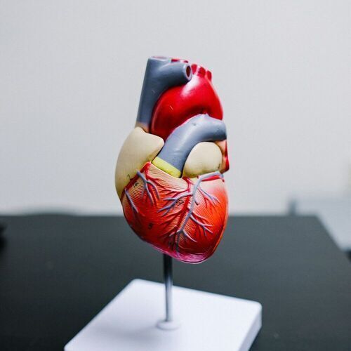 Early ECG monitoring initiated in the emergency department has the potential to transform the care of thousands of patients who attend the ED with unexplained fainting.(Source:  Unsplash)