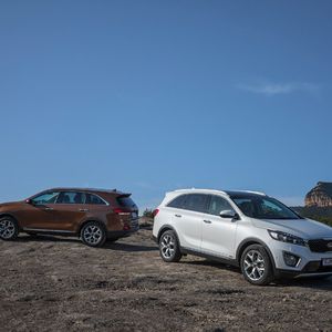 In Deutschland sollen im Startjahr 4.500 Einheiten verkauft werden.(Foto: Kia)