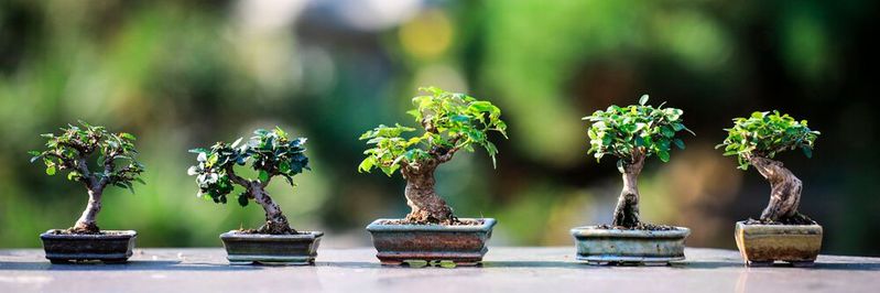In puncto Anteil am Halbleitermarkt spielt Japan derzeit in der Bonsai-Liga. Doch das Land will – ähnlich wie Europa – wieder eine größere Rolle im Chipmarkt einnehmen. Und zur Diversifizierung der globalen IC-Lieferketten beitragen. In puncto Anteil am Halbleitermarkt spielt Japan derzeit in der Bonsai-Liga. Doch das Land will – ähnlich wie Europa – wieder eine größere Rolle im Chipmarkt einnehmen. Und zur Diversifizierung der globalen IC-Lieferketten beitragen.