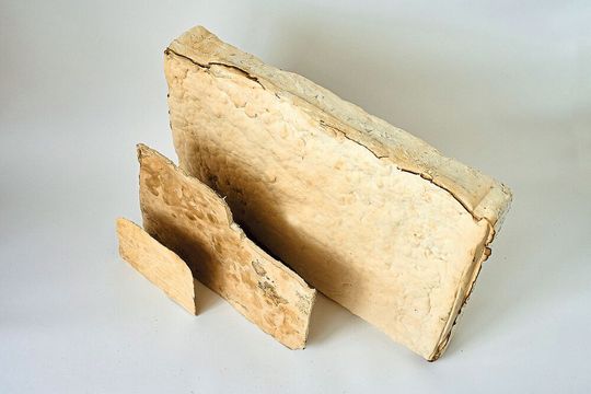 Flexible Myzelmaterialien in unterschiedlicher Dicke können als Polstermaterial, Dämmplatte oder Lederalternative verwendet werden.(Bild:  Fraunhofer IAP, Jadwiga Galties)