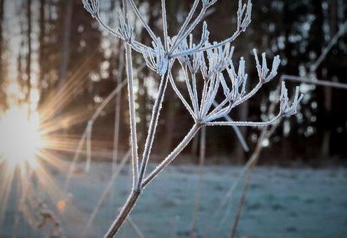 Zwar war der Sommer in Deutschland von viel Sonnenschein geprägt, doch die Produktion vieler Unternehmen war eher unterkühlt, teilen Analysten jetzt mit. Hier mehr dazu.(Bild:  P. Südermann)