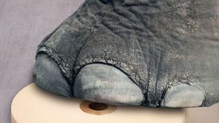 Mit den Dry-Lin-Polymer-Gleitplatten von Igus lassen sich pro Gleitplatte 2 t langsam dynamisch verschieben. Bild: Igus (Archiv: Vogel Business Media)