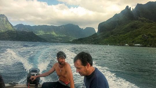 Die Mitautoren der Studie Andreas Haas (NIOZ Niederlande) und Craig Nelson (Universität von Hawai‘i in Mānoa) entnehmen Wasserproben an der Küste von Mo'orea (Französisch-Polynesien).(Bild:  Daniel Petras)