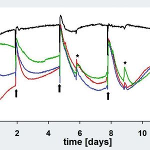 Abb. 2: Konzentration an gelöstem Sauerstoff (DO) in 3D-Chondrozytenkulturen während 13-tägiger Kultivierung in Oxodishes mit 24 Kavitäten. 