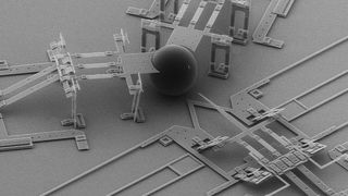Der MEMS-Nanoinjektor soll das Einbringen von DNA in Zellkerne erleichtern (Brigham Young University)