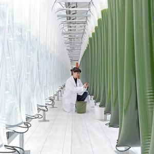 Blick in das Algen Science Center am Institut für Bio- und Geowissenschaften