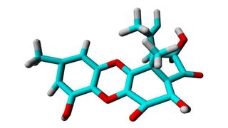 Die gegen Osteoporose wirksame Substanz F9775-A. (Archiv: Vogel Business Media)