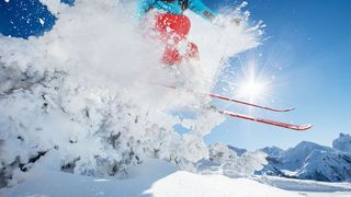 Woran liegt, dass manche Menschen mehr Risiko eingehen als andere? Unsere Gene können ein Faktor dafür sein. (©Jag_cz - stock.adobe.com)