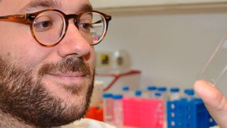 Um das neuronale Netzwerk zu trainieren, presste Alexander Kihm Blut durch hauchfeine Mikroröhrchen in einem  Objektträger und klassifizierte die Blutkörperchen unter dem Mikroskop. (Claudia Ehrlich)