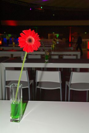 Gemeinsamer Auftritt von NT plus und Actebis Peacock bis ins Detail: Blumen mit Vase in den Farben der beiden Schwestern. Die Gäste nahmen diese Details aufmerksam zur Kenntnis. (Archiv: Vogel Business Media)