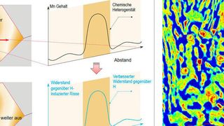 Chemische Heterogenität innerhalb der Mikrostruktur führt zu einer verbesserten Beständigkeit gegen wasserstoffinduzierte Rissbildung und unterdrückt damit ein wasserstoffinduziertes vorzeitiges Materialversagen (IDW/Die Abbildung wurde reproduziert aus B. Sun et al, Nat. Mater. 2021)
