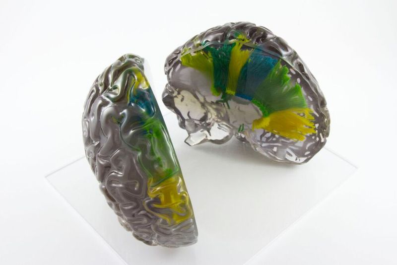 Mit Polyjet können transparente und farbige Materialien kombiniert werden. (Bild: Materialise)