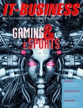 ITB 14/2020 (IT-BUSINESS)