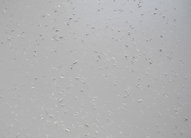 Abb. 2 Aufnahme mit Slotopas AL 4270 passivierte Aluminiumoberfläche nach erfolgter Multischlagprüfung. Die Aluminiumoberfläche wurde mit KW 1,5 bestimmt und erfüllt somit die hohen Anforderungen aus dem Automotive-Bereich.(Bild:  Dr.-Ing. Max Schlötter GmbH & Co. KG)