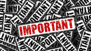 Beim Proof of Importance (PoI) dürfen nur diejenigen Teilnehmer neue Blöcke für die Blockchain erstellen, die für das Netzwerk als besonders wichtig gelten. (Bild: Gerd Altmann)