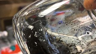 Graphen-Hybride aus metallorganischen Netzwerken (metal organic frameworks, MOF) und Graphensäure ergeben eine hervorragende positive Elektrode für Superkondensatoren, die damit eine ähnliche Energiedichte erreichen, wie Nickel-Metallhydrid-Akkus. Die schwarze Farbe zeigt eine hohe Elektronenmobilität an.  (Bild: Dr. Jayaramulu Kolleboyina / IITJ)