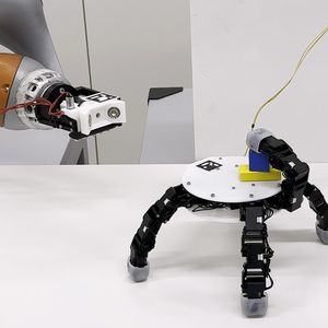 Mit mehr als fünf Fingern bewältigt es einhändig Aufgaben, die normalerweise zwei menschliche Hände erfordern – etwa den Deckel einer großen Flasche aufschrauben oder mit einem Schraubendreher eine Schraube in ein Holzstück eindrehen.(Bild:  EPFL)