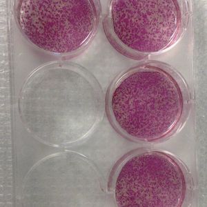 (Bild: Merck Millipore)