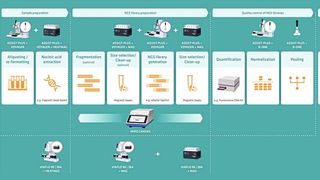 Das Workflow-Diagramm zeigt, wie die Liquid-Handling-Lösungen von Integra jeden Schritt der NGS-Vorbereitung rationalisieren und die Effizienz der NGS-Bibliotheksvorbereitung optimieren können. (Bild: Integra Biosciences)